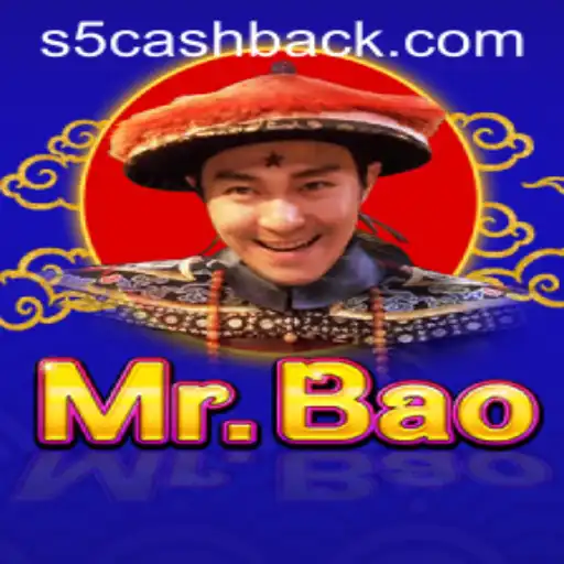 The Thrilling Adventure of MrBao in the Digital Realm